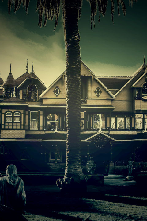 Case 6: Winchester Mystery House